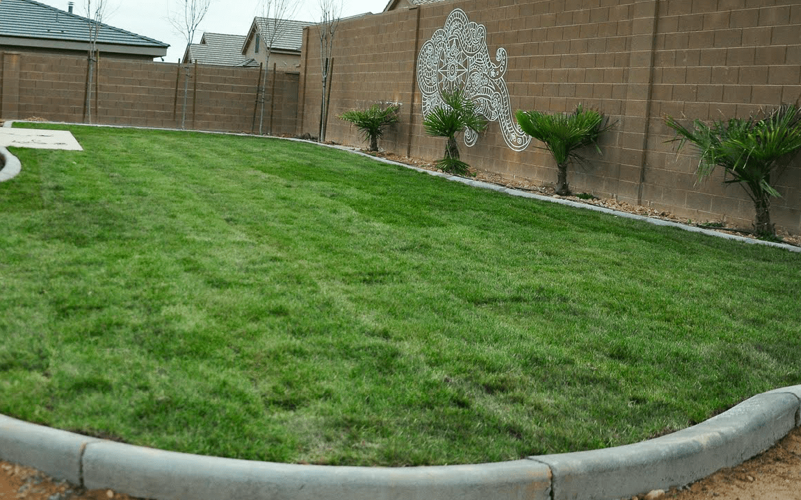 How to Care for Sod… In St.George